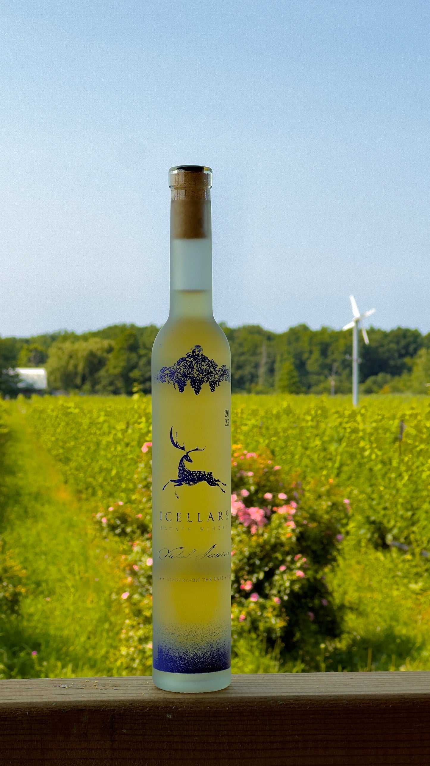 2021 Vidal Icewine - 375 mL